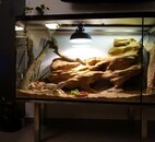 terarium1