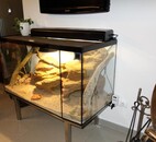 terarium2